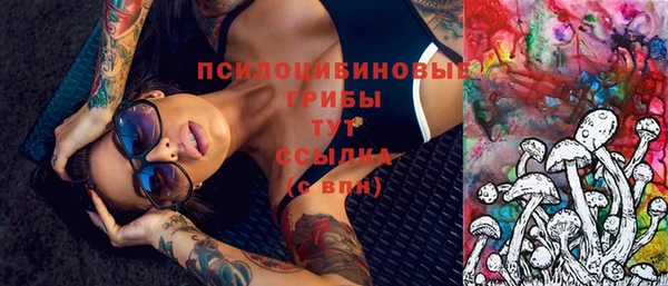 apvp Алексеевка